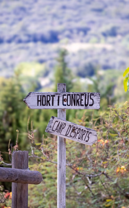 Les organismes de tourisme : pilier de l'industrie touristique française