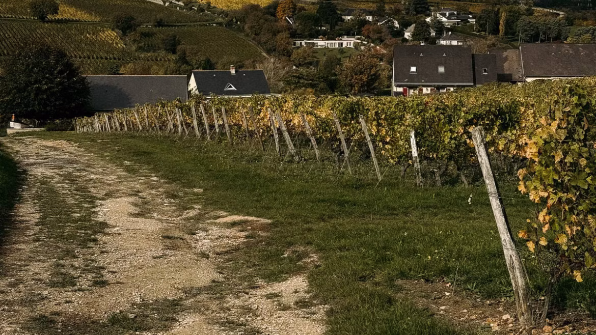 Organiser un voyage culinaire en France 2026