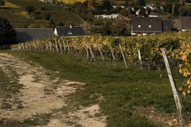 Organiser un voyage culinaire en France 2026