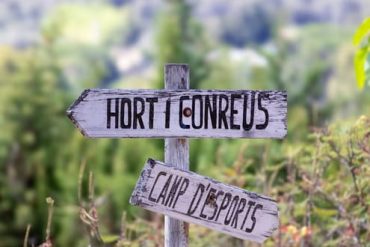Les organismes de tourisme : pilier de l'industrie touristique française