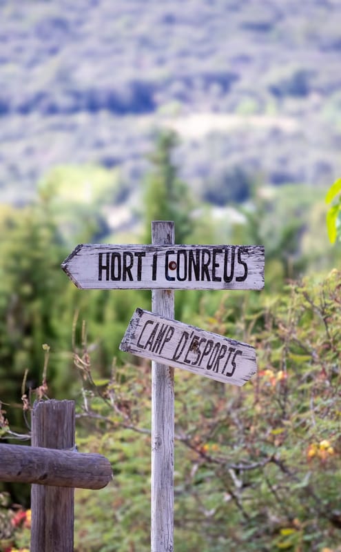 Les organismes de tourisme : pilier de l'industrie touristique française