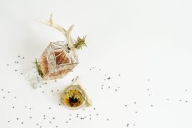 L'alcool de romarin désinfecte-t-il ?